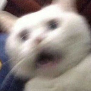 Meet your Posher, Kaylee